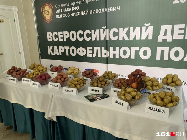 Демонстрация картошки | Источник: Наталья Костюк / 161.RU