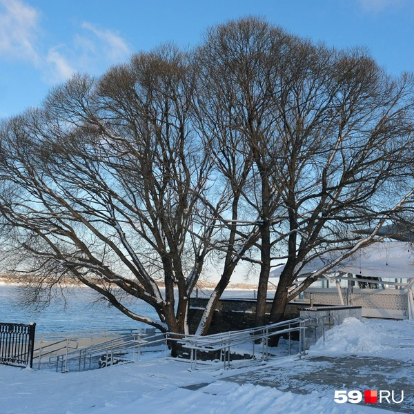 Источник: Тимофей Калмаков / 59.RU