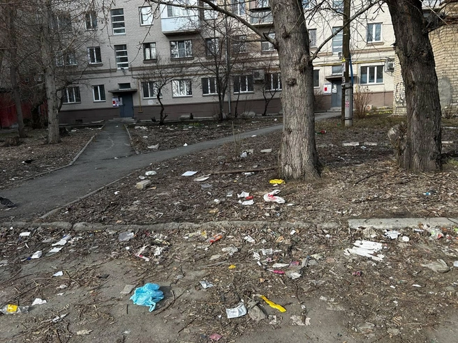 У вице-мэра до субботника был еще и объезд дворов, на грязь в которых жаловались жители  | Источник: Администрация города Челябинска / t.me