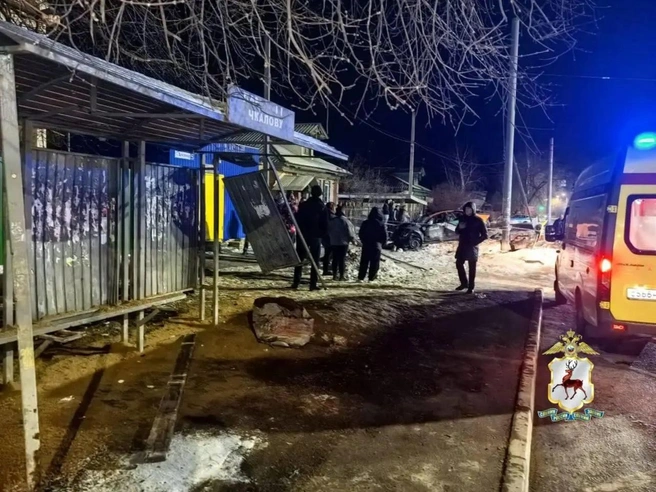 В ДТП погибли две женщины, ждавшие на остановке автобус | Источник: ГУ МВД по Нижегородской области