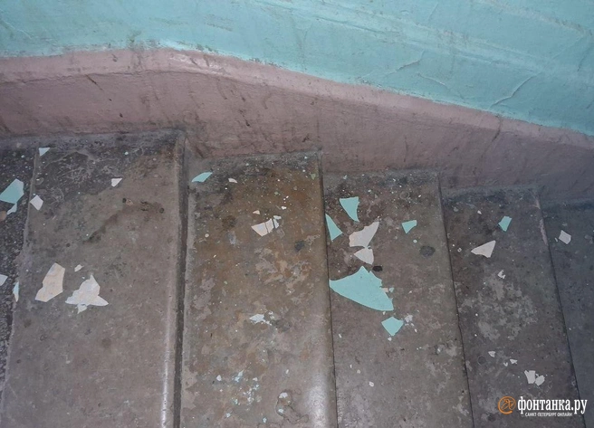 Источник: Анна Мотовилова / «Фонтанка.ру»