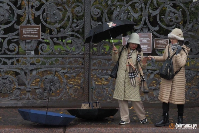 Быть или не быть дождю? Атмосферный фронт с севера заденет Петербург  | Источник: Михаил Огнев / «Фонтанка.ру»