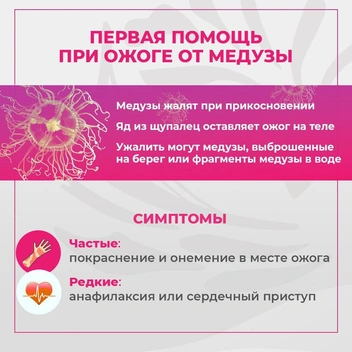 Источник: Правительство Приморского края / Telegram