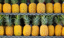 Польза и вред ананасов: не дает образовываться тромбам, но не подойдет людям с диабетом