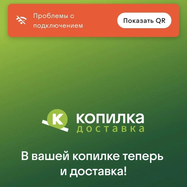 Приложение «Копилки» сообщает о проблемах с доступом к сети | Источник: NGS24.RU