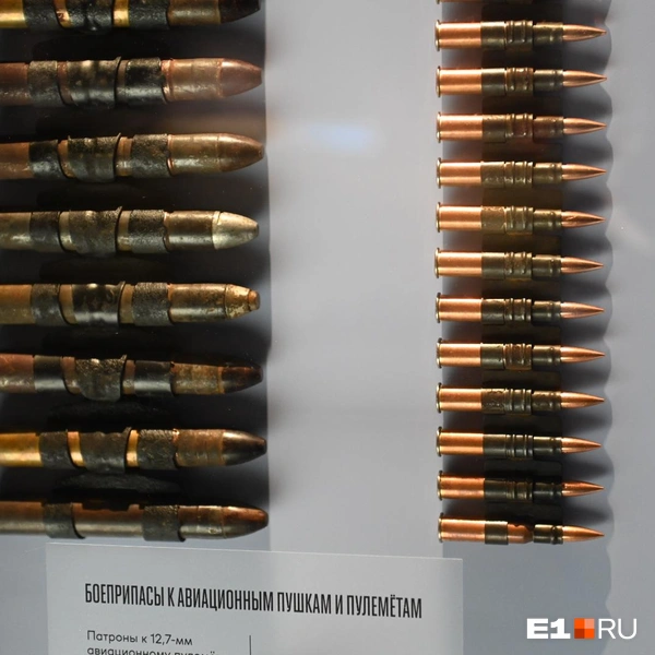 Источник: Дмитрий Емельянов / E1.RU