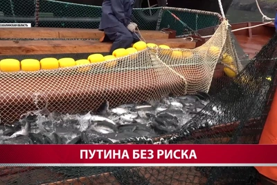 На Сахалине изменили подход к борьбе с браконьерством