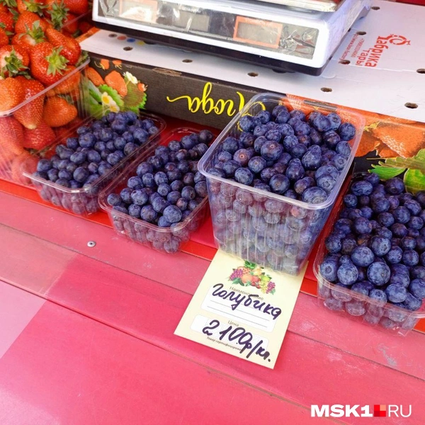 Источник: Полина Громова / MSK1.RU