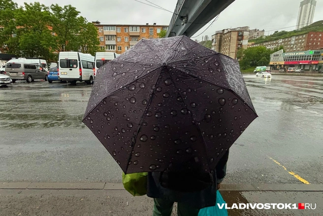 Август в Приморье будет не самым спокойным | Источник: Елена Буйвол / VLADIVOSTOK1.RU