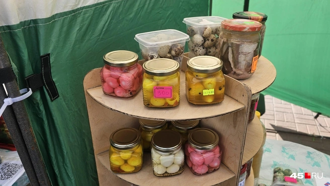 Маринованные перепелиные яйца | Источник: Дарья Никитченко / 45.RU