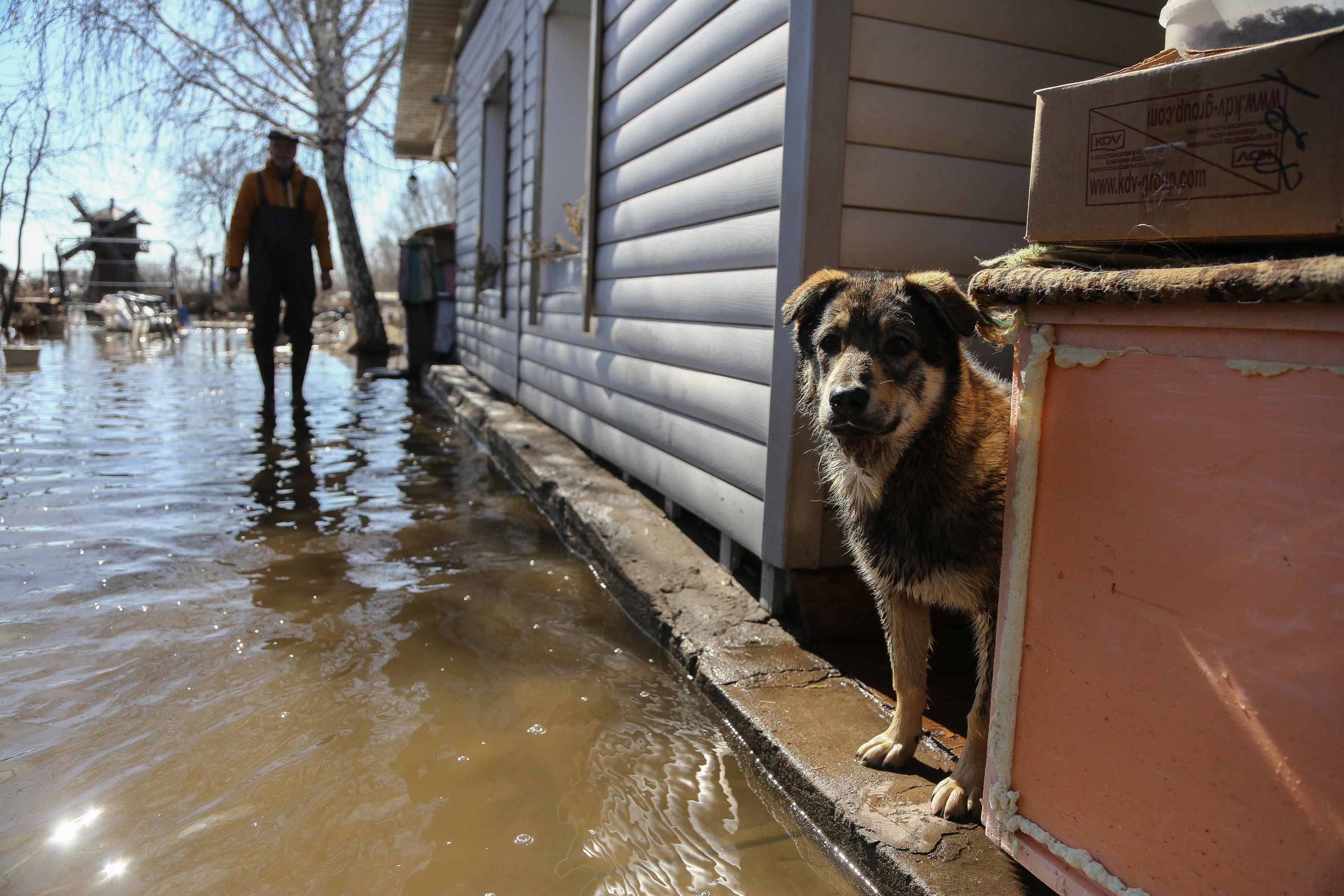 Фоторепортаж из омского села, которое утопает в воде - 7 апреля 2024 -  НГС55.ру