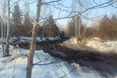 Спецтехника в лесу встревожила жителей Ньютона и Паркового-2