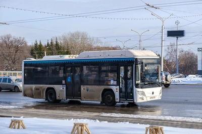 Уфимец взыскал с перевозчика 800 тыс. руб. за ДТП
