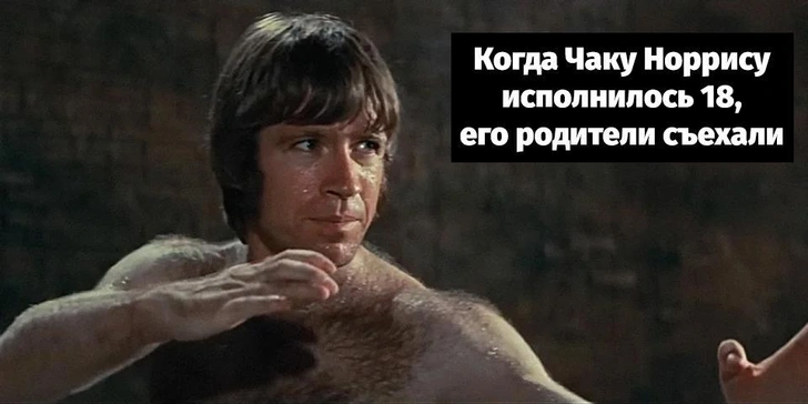 «Однажды Чак Норрис пнул лошадь в подбородок — так появились жирафы» | Источник: соцсети
