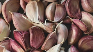 Подготовка грядки под чеснок для посадки осенью