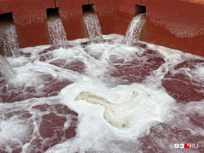 В центре чаши видно грязную пену | Источник: Екатерина Подымова / 93.RU