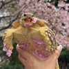 userpic__Ксения