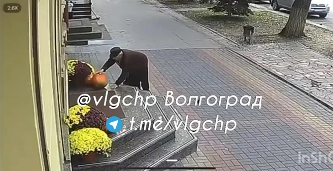 Дерзкое похищение тыквы попало на камеры наблюдения | Источник: Vlgchp / T.me