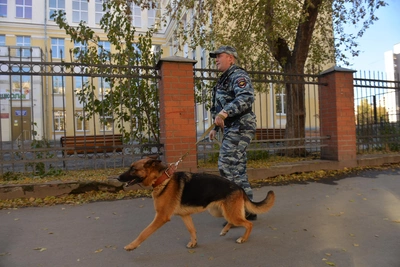 Угроза минирования лицея в Ессентуках не подтвердилась