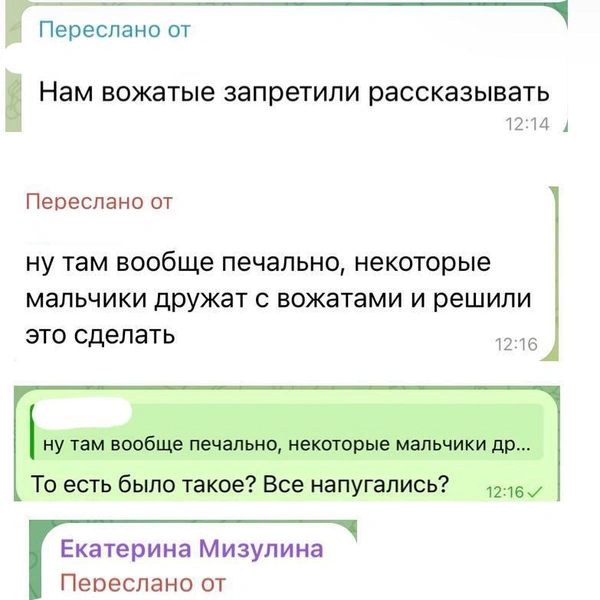 Источник: Екатерина Мизулина / T.me 