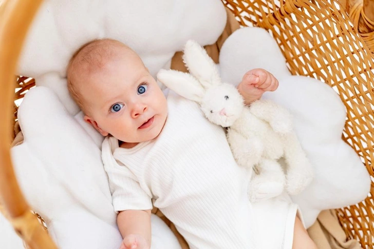 Источник: ANNA GRANT/Shutterstock/Fotodom.ru