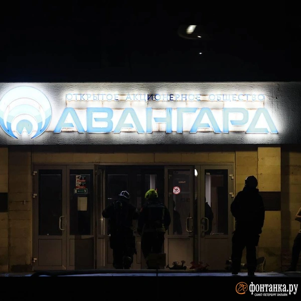 Источник: Дарья Драй / «Фонтанка.ру»