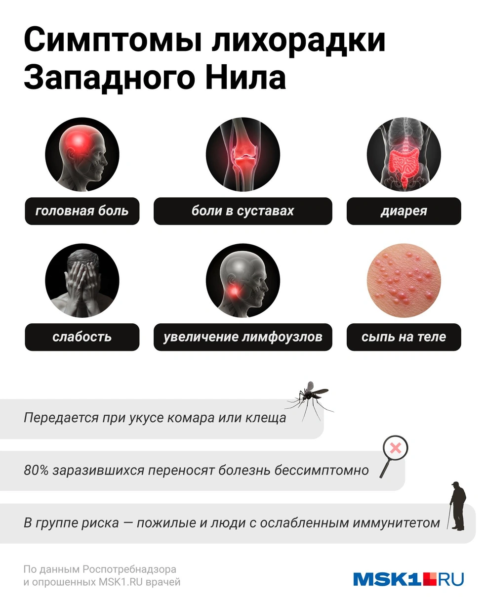 Источник: Евгения Бикунова / Городские медиа