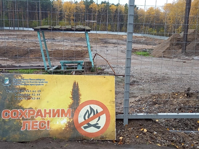 Работы на участке «Соснового бора» остановились после вырубки деревьев | Источник: предоставлено Денисом Катаевым 