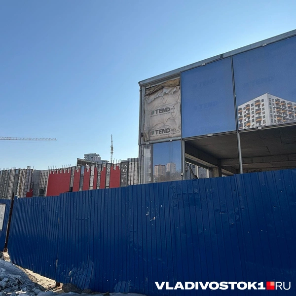 Источник: Елена Буйвол / VLADIVOSTOK1.RU