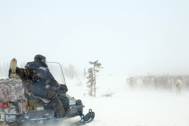 Источник: Анна Захарова