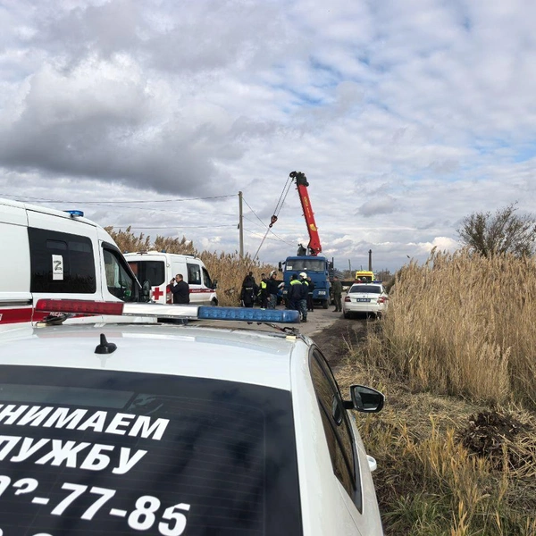 Источник: «Волгоград Красноармейский» / Telegram