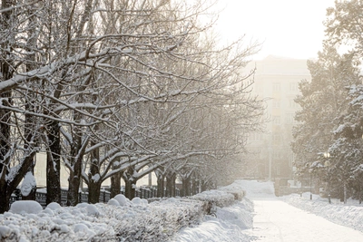 February in Chelyabinsk: Meteorologists' Forecast