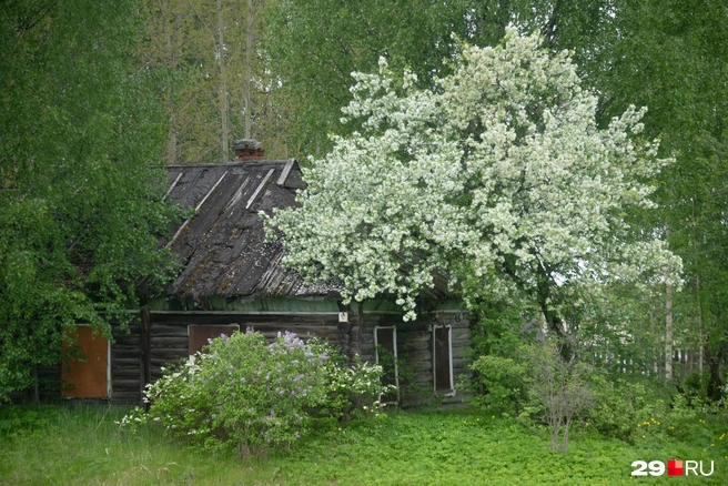 Источник: Иван Митюшёв / 29.RU