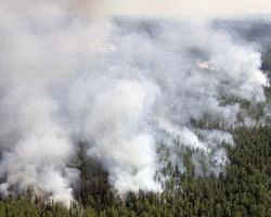 Для мониторинга лесных пожаров впервые привлекут вертолеты Р-44 | www.e1.ru