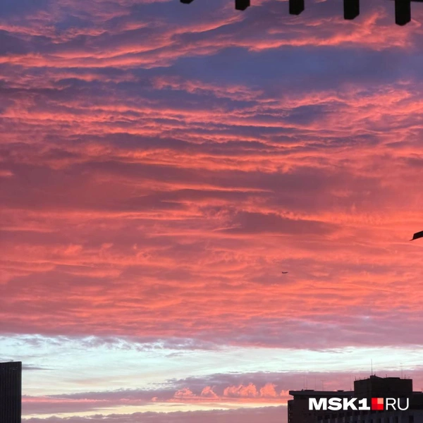 Источник: читатель MSK1.RU