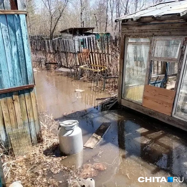 Источник: очевидец