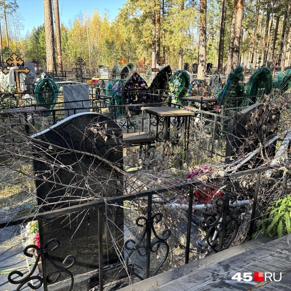 Источник: Кирилл Митин