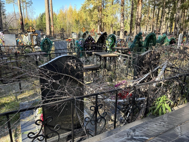 Кладбище в поселке Чистопрудном завалено мусором | Источник: Кирилл Митин / 45.ru
