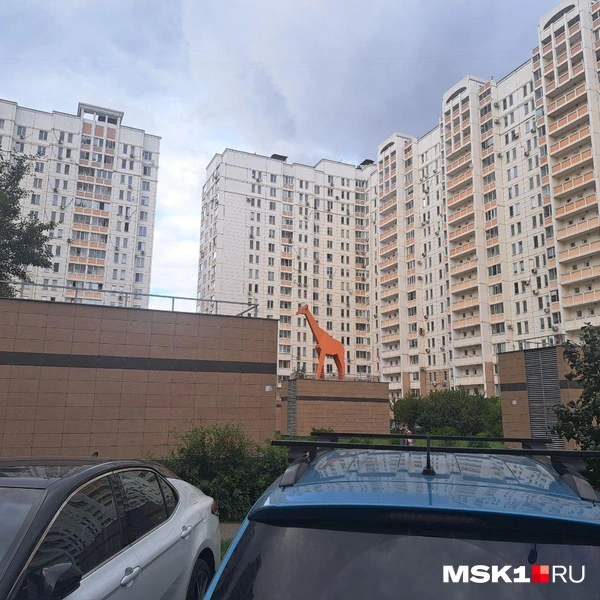 Источник: Арина Майорова / MSK1.RU