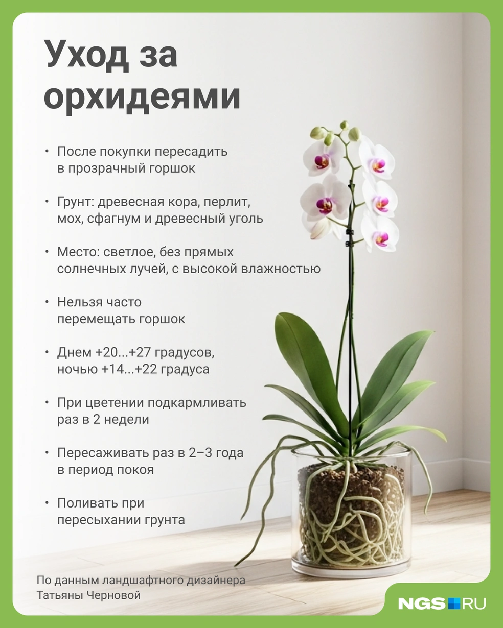 Источник: Юрий Орлов / Городские медиа