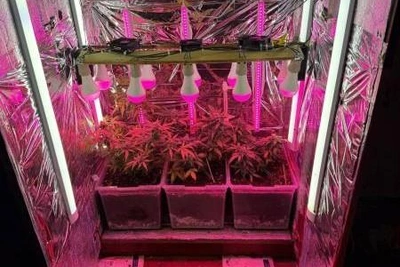 Житель Мурманска может получить 20 лет за попытку сбыта наркотиков