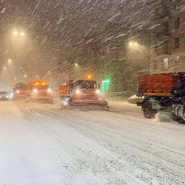 Источник: Комитет по благоустройству