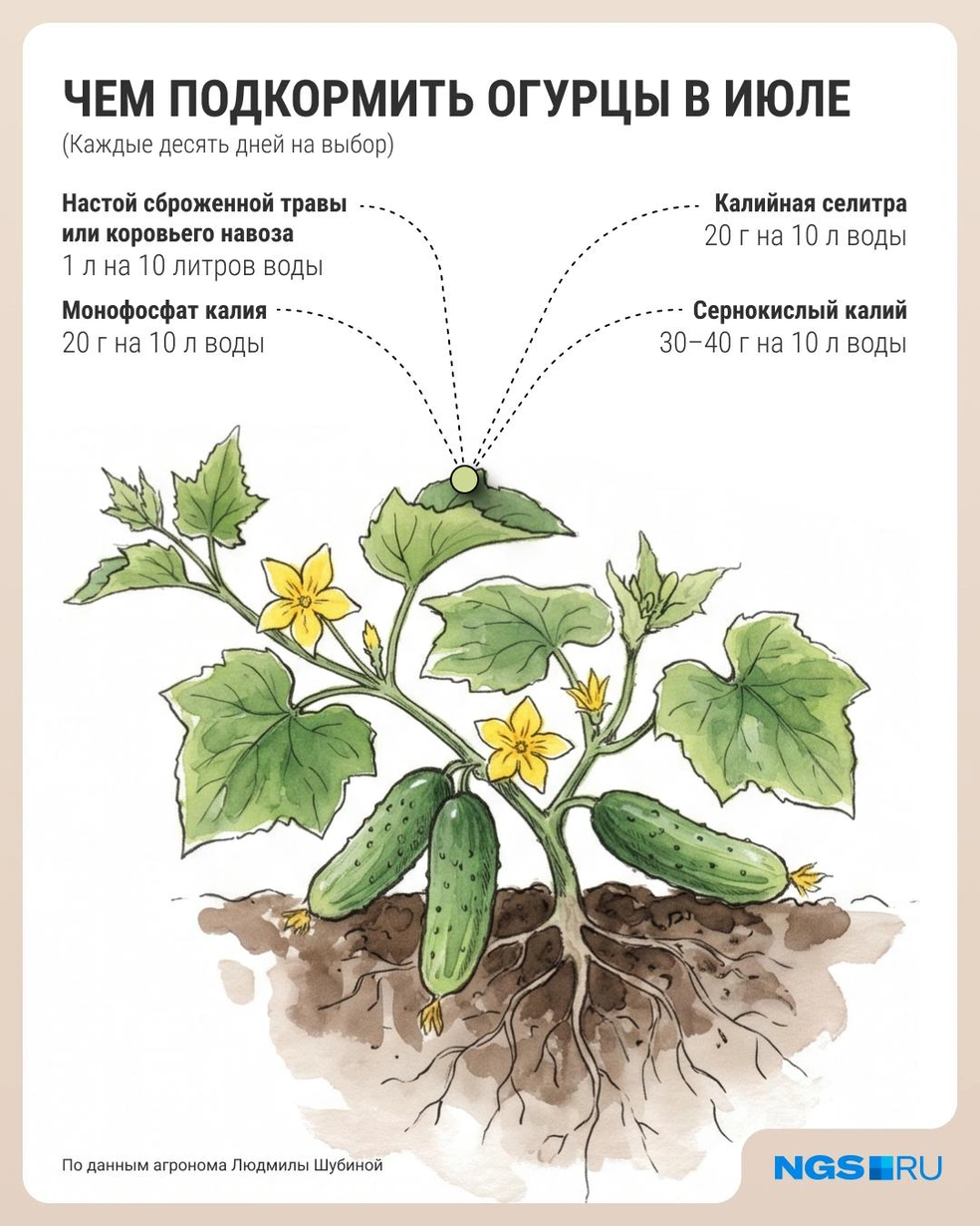 Источник: Филипп Сапегин / Городские медиа