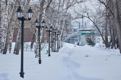 Novosibirsk snow chaos: who is responsible for cleanup?