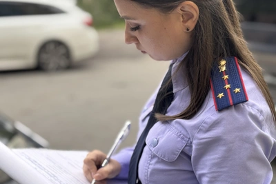 Новые эпизоды мошенничества и коммерческого подкупа на Камчатке