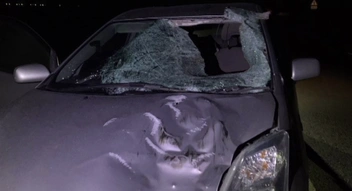 Пешехода насмерть сбили в Забайкалье — на капоте вмятина от тела | Источник: Госавтоинспекция Забайкалья / Telegram