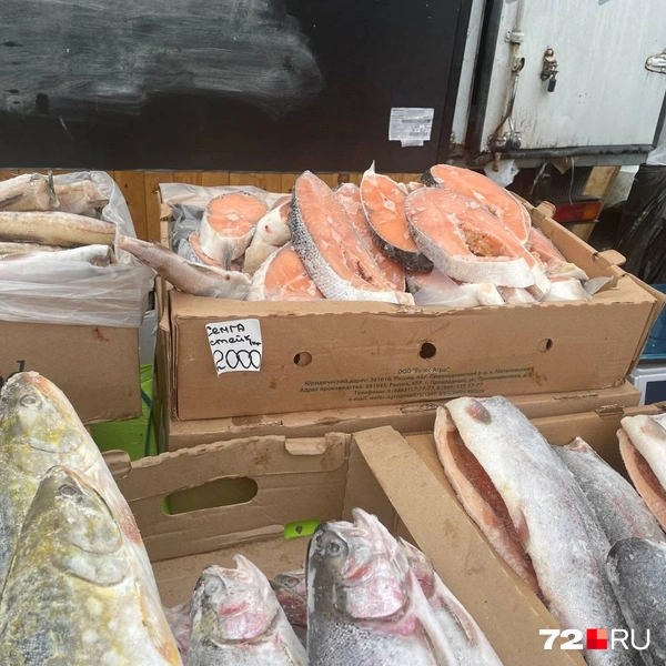 Источник: Радик Енчу / 72.RU