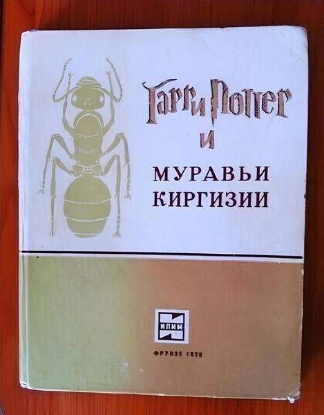 Источник: X (Twitter)