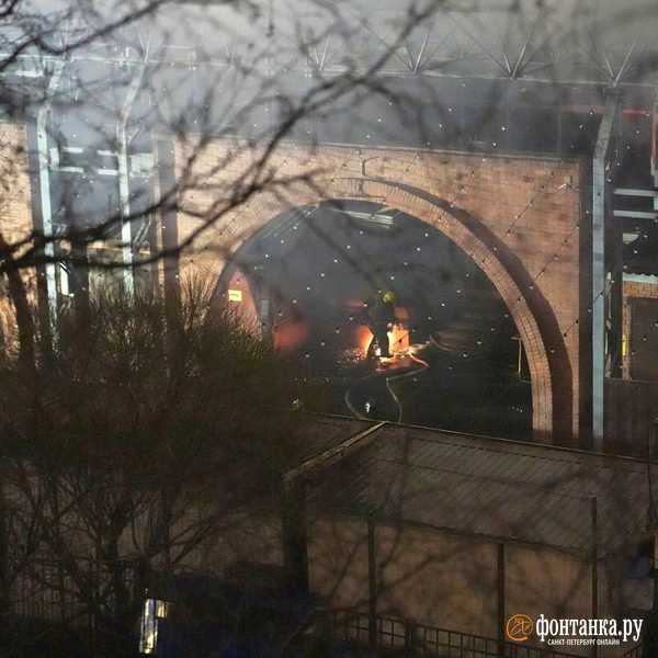 Источник: Павел Даиси / FONTANKA.RU