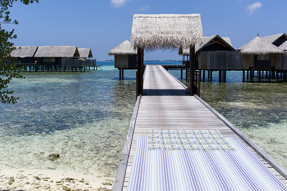 Тренд месяца: яркие краски | Источник: Тимофей Колесников